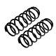 Genuine APEC Pair of Front Coil Springs for Audi A4 AVF 1.9 (11/2001-12/2004)